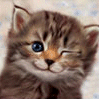 Avatar Winks cat eye