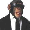 Chimpanzé whith um traje