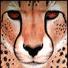 Avatar leopard