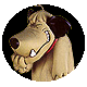 Avatar Muttley - Dog laughing
