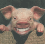 豚肉は笑って