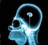 Avatar radiography Homer Simpson