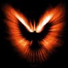 Avatar phoenix bird - eagle