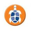 Avatar turtle