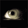 Avatar ojos de calavera