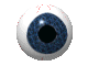 Avatar eye