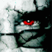 Avatar auge