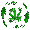 Avatar cannabis