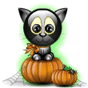 Emoticon Cat on a pumpkin