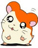 Emoticon Hamtaro 50