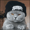 Emoticon gato rapero