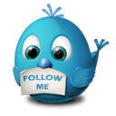 Twitter Follow Me