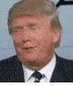 Emoticon Donald Trump