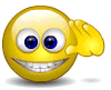 Emoticon 미소 경례