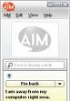 AIM Ad Hack 5.52