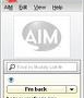 Descargar AIM Ad Hack 5.52