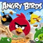 Play to  Save the Angry Birds