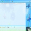 Skin flower - Conversation window
