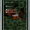 Iphone Skin 1.0 - Login window