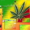 Skin Rasta live plus - Contact list