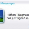Skin Wii Messenger 1.11 - Notification window